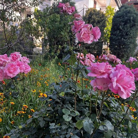Apartments In Villa Viktoria ストモレ エクステリア 写真