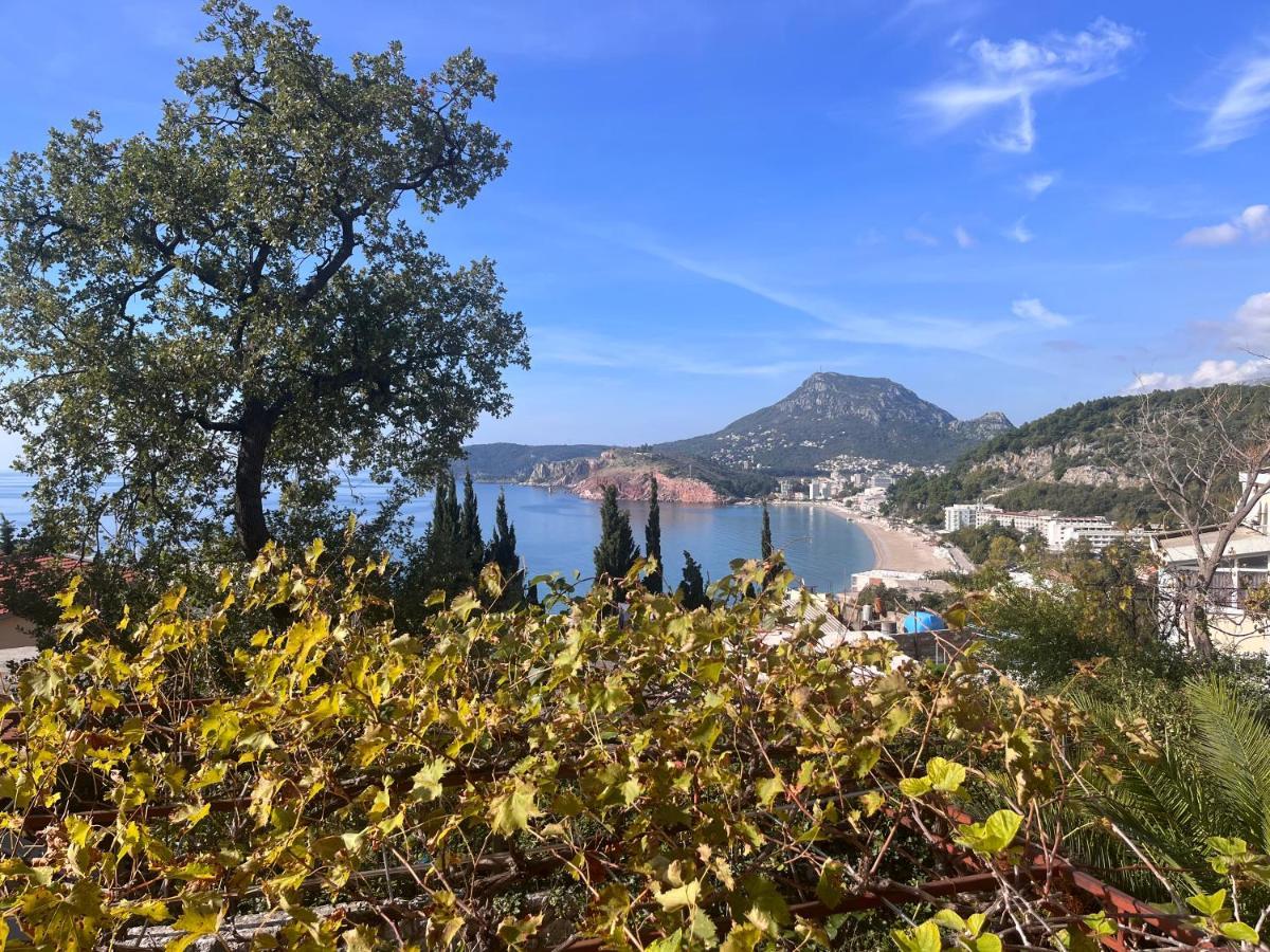 Apartments In Villa Viktoria ストモレ エクステリア 写真
