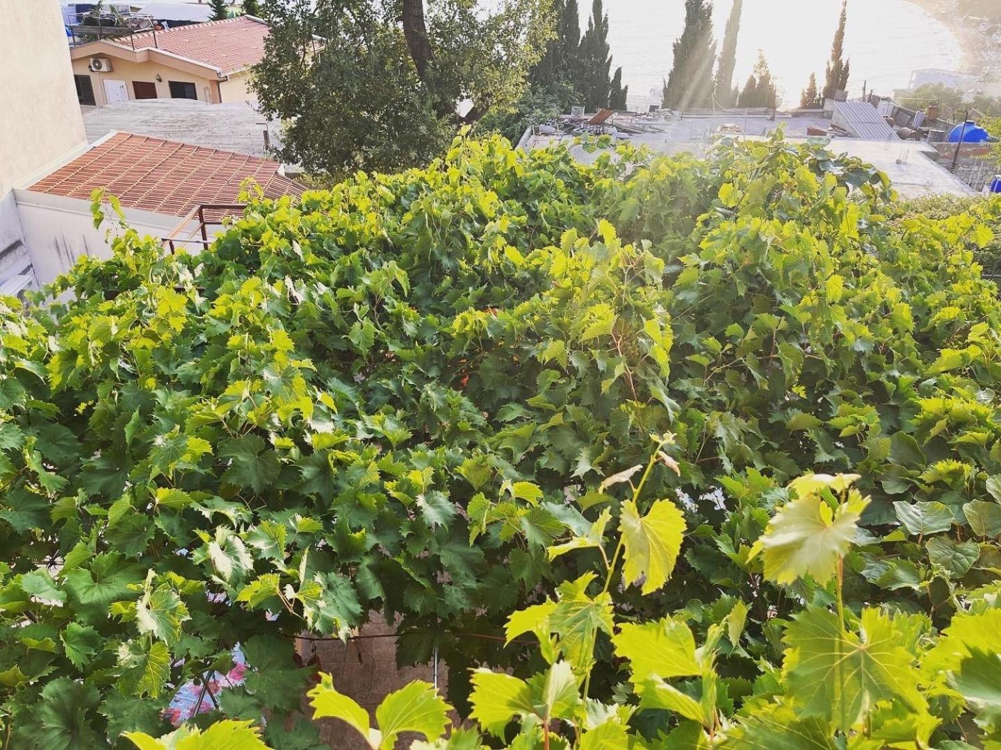 Apartments In Villa Viktoria ストモレ エクステリア 写真