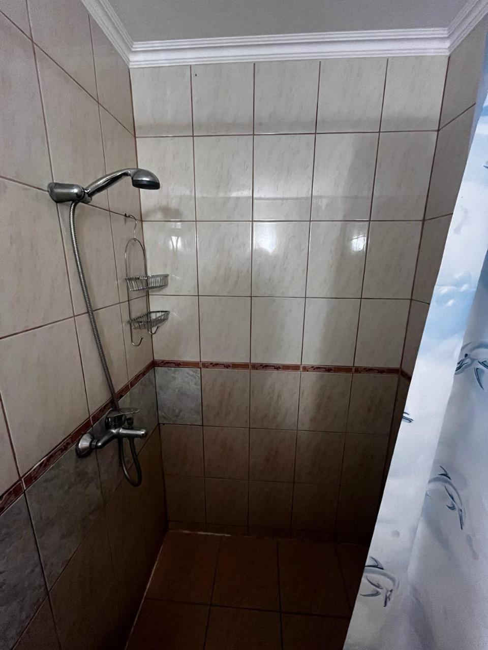 Apartments In Villa Viktoria ストモレ エクステリア 写真